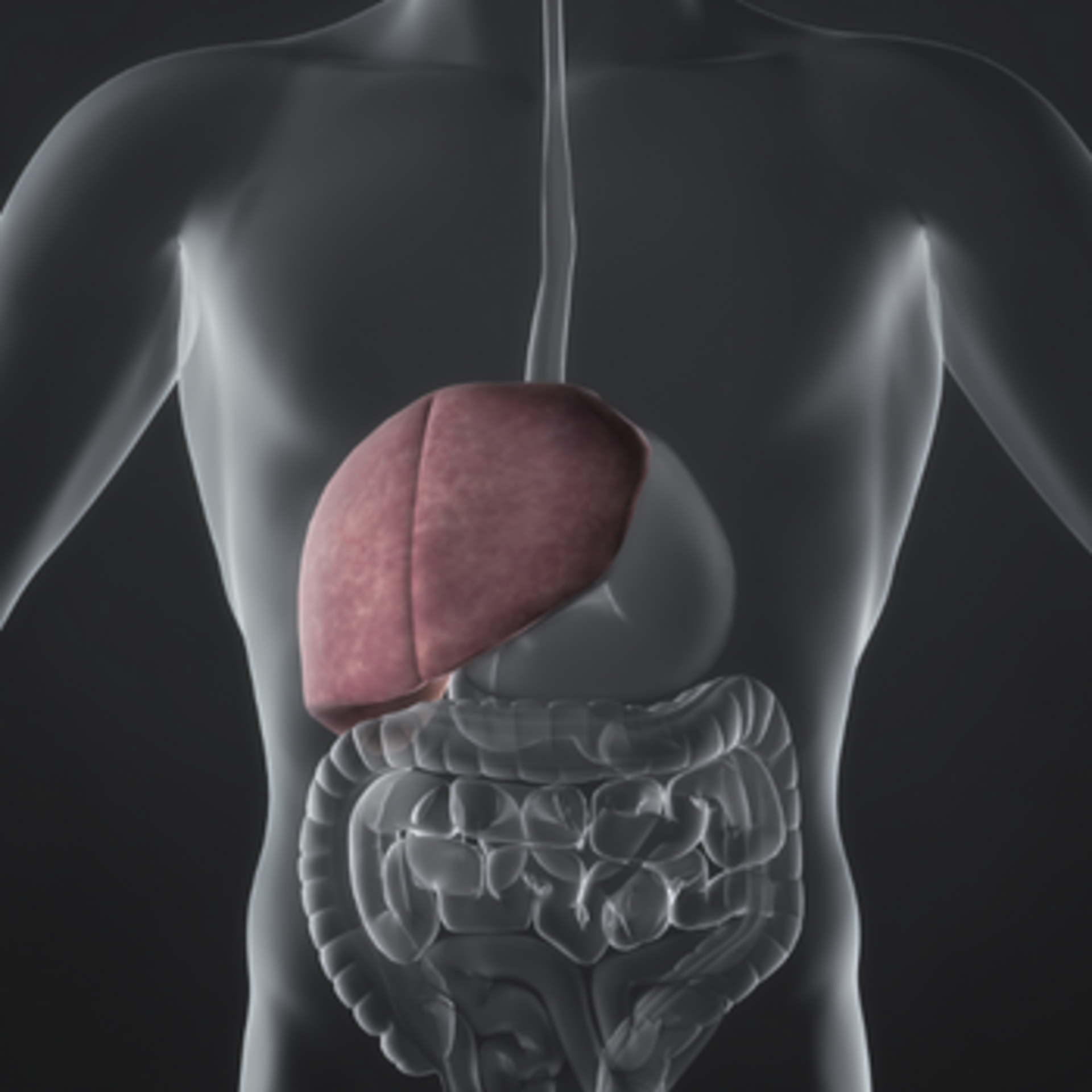 Interventional radiology Liver and tumor treatment