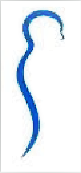 Logo: Brain & Spine Clinic