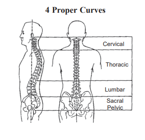Posture Exercise Program