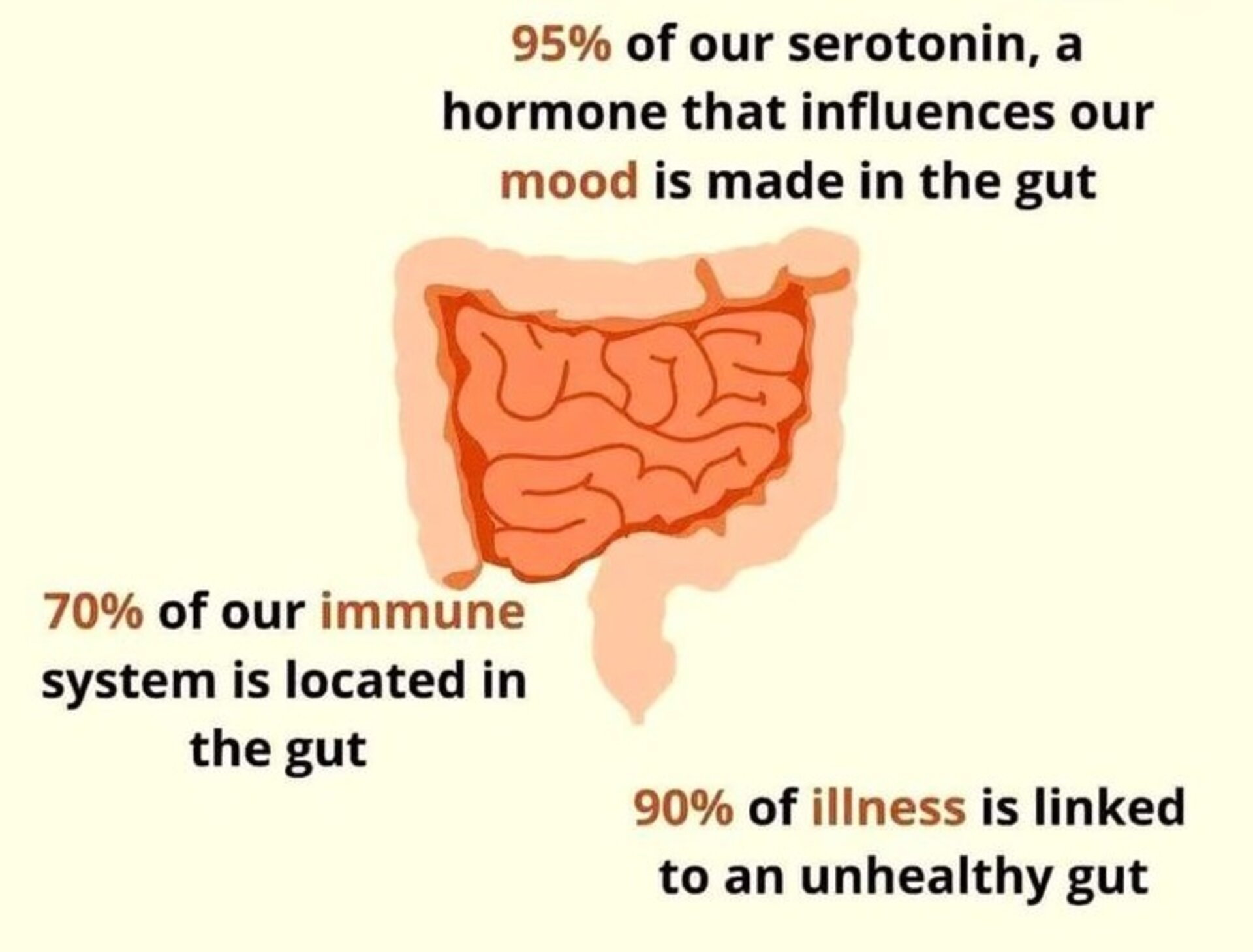 Gastrointestinal System - Dr. Varun Khandagale