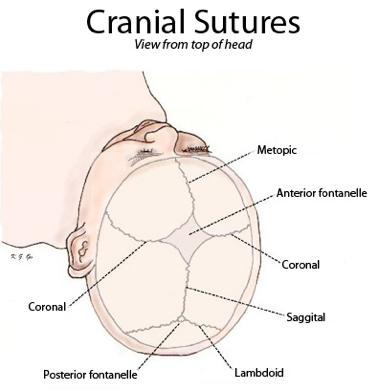 Craniofacial Surgery - Dr Prashant Khandelwal