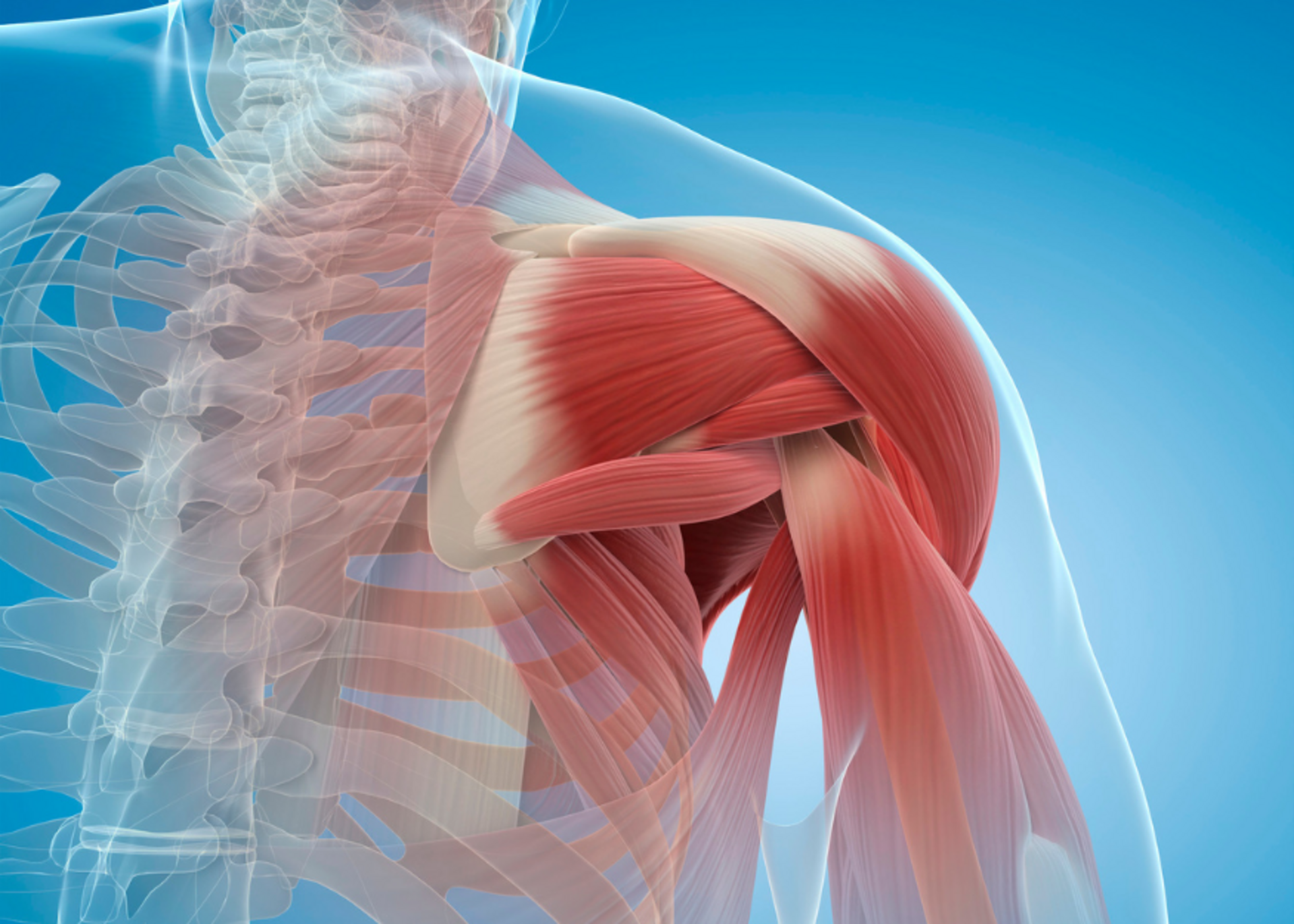 Rotator Cuff Tear in Shoulder Treatment by Dr. Avishkar Patil