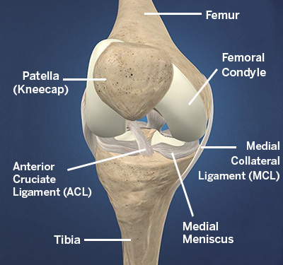 Knee Replacement Surgery- Dr Sandeep Chauhan