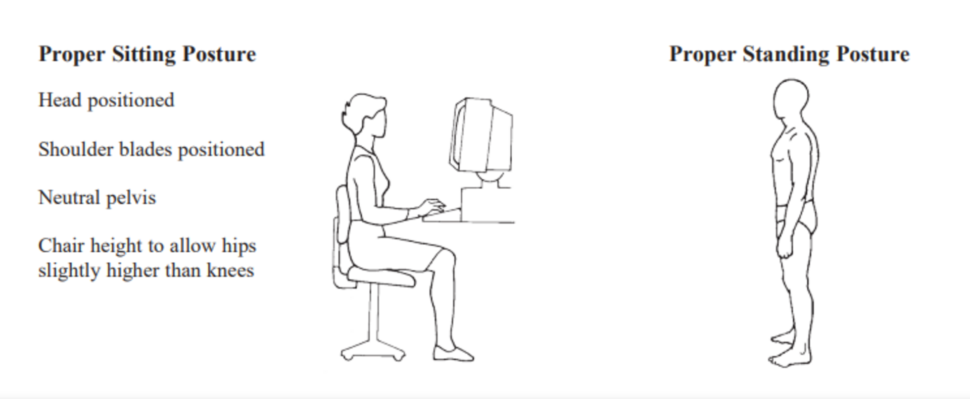 Proper Sitting Posture