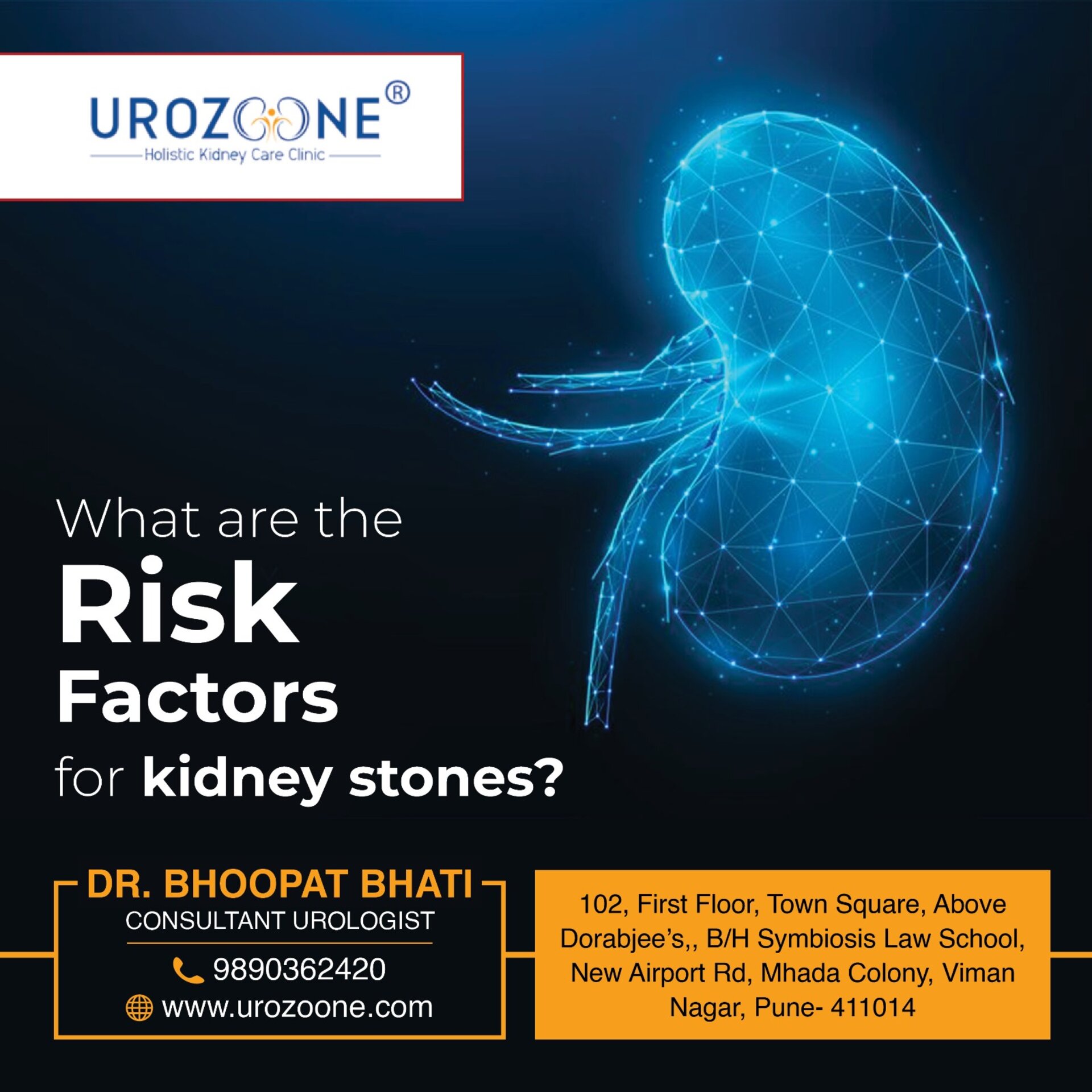 Risk Factor for Kidney Stones - Dr. Bhoopat Bhati